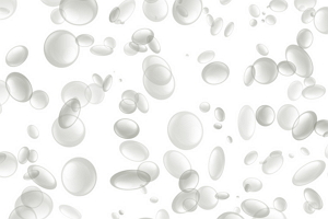 blood cells
