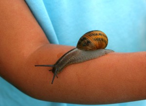 fear_phobia_slug