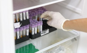 blood samples fridge