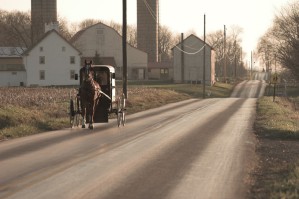 amish countryside